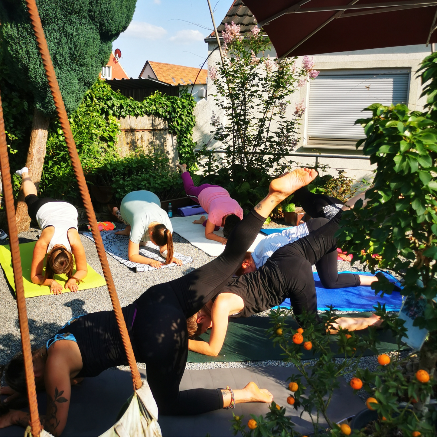 Yoga+Wein 24.08.2025