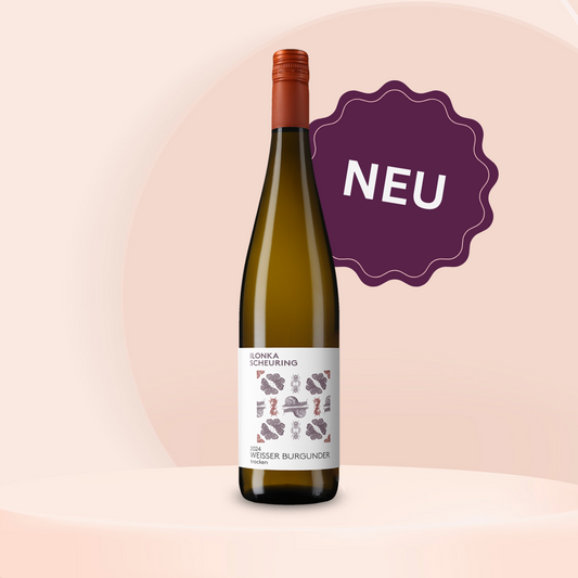 BASIC | Weißer Burgunder 2024 trocken