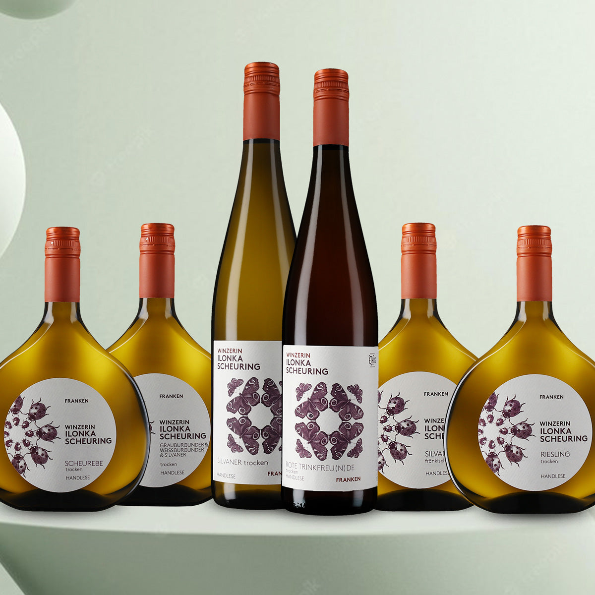 Weinpaket "6 trockene Franken"