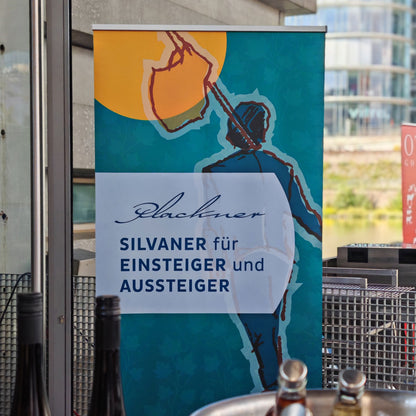 2017 Einsteiger Silvaner trocken