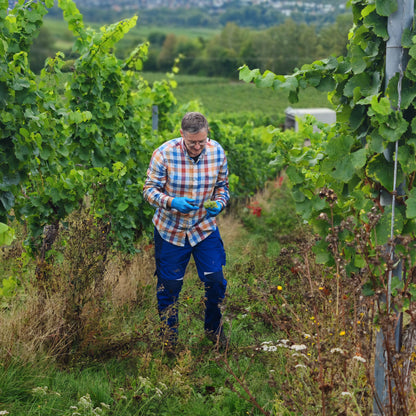 2017 Einsteiger Silvaner trocken
