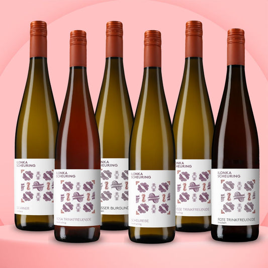 Ilonkas (W)einsteiger-Paket