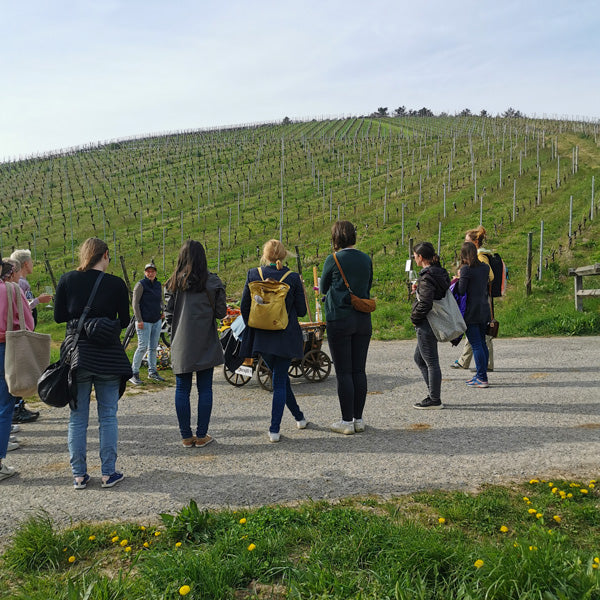 Weinprobe "Wengert Weinwanderung"