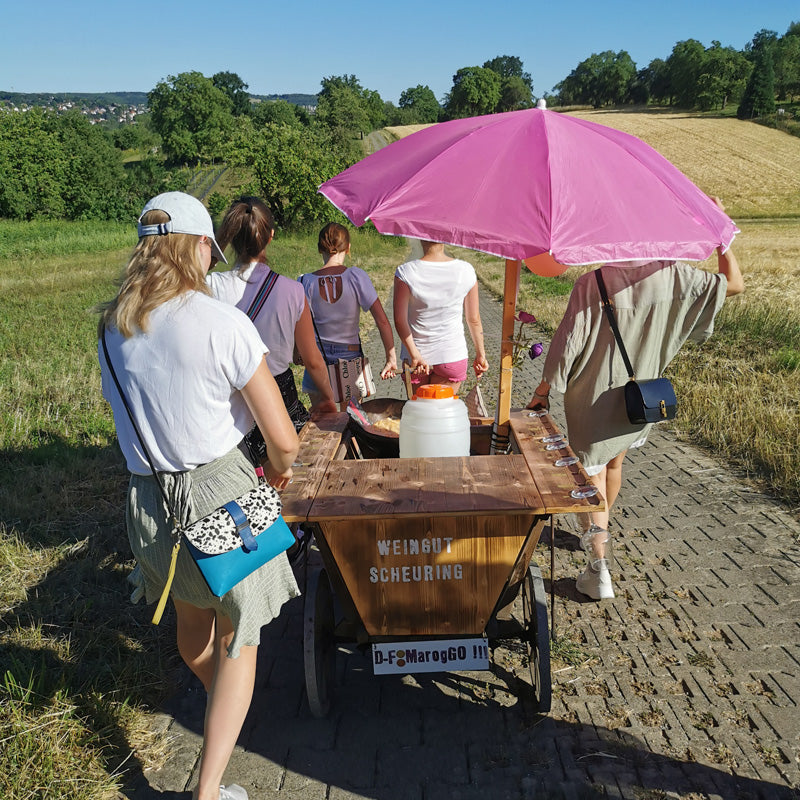 Weinprobe "Wengert Weinwanderung"